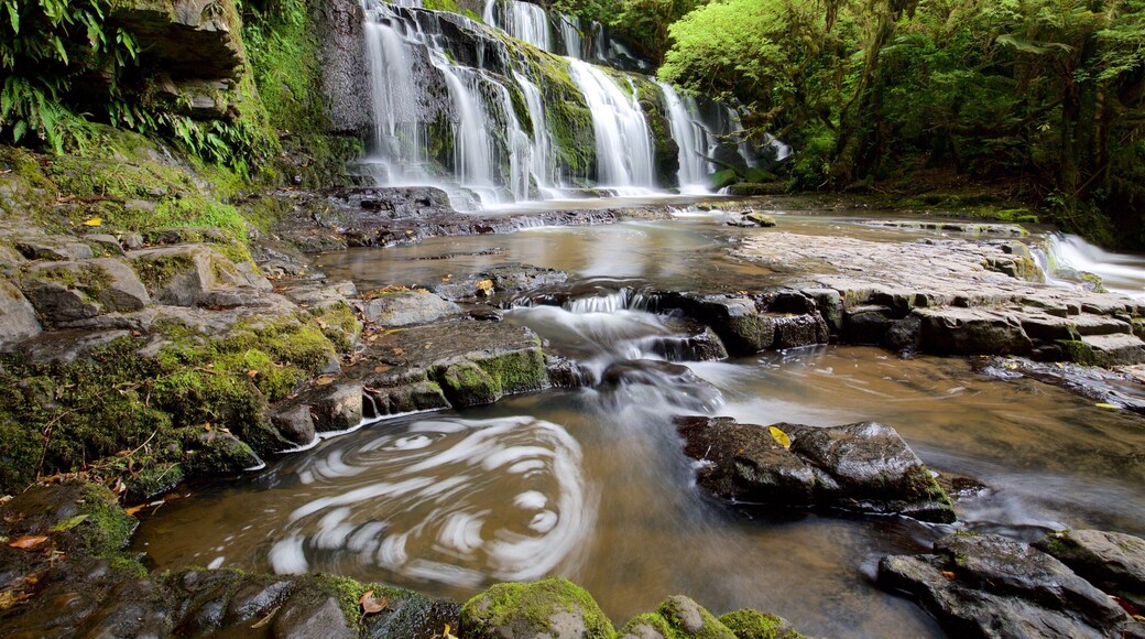 Purakaunui Falls mostrando fiume o ruscello, paesaggio forestale e cascate