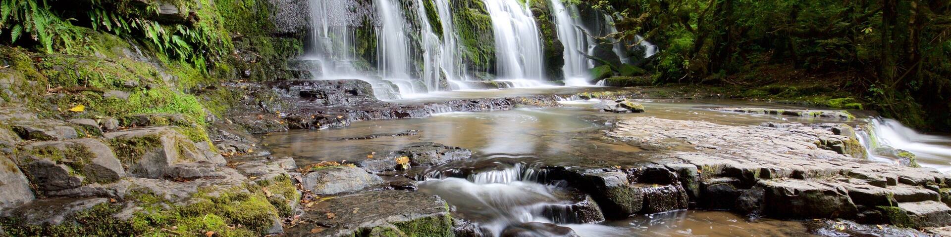 Purakaunui Falls which includes forests, a river or creek and a waterfall