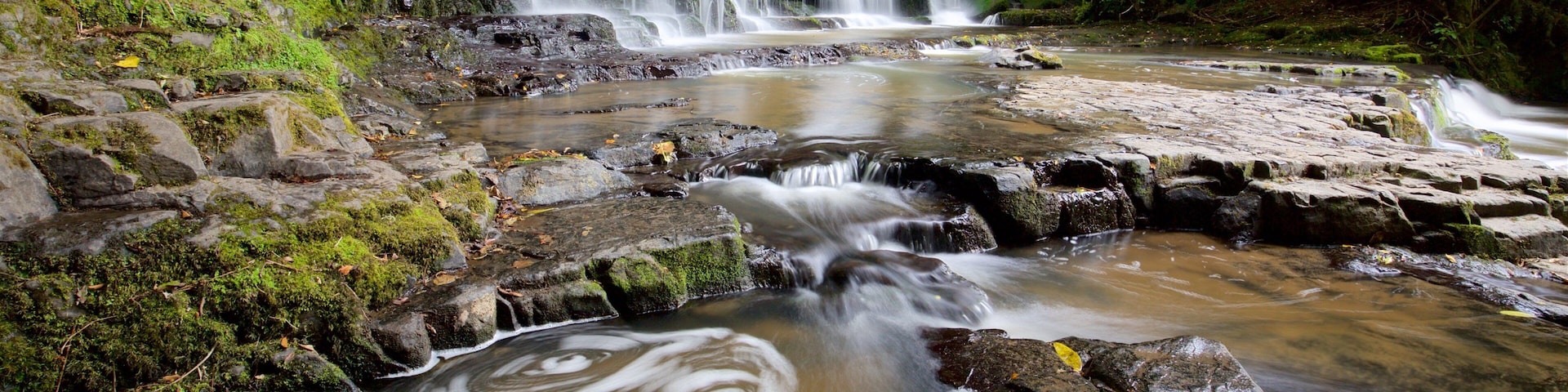 Purakaunui Falls das einen Fluss oder Bach, Wasserfall und Waldmotive