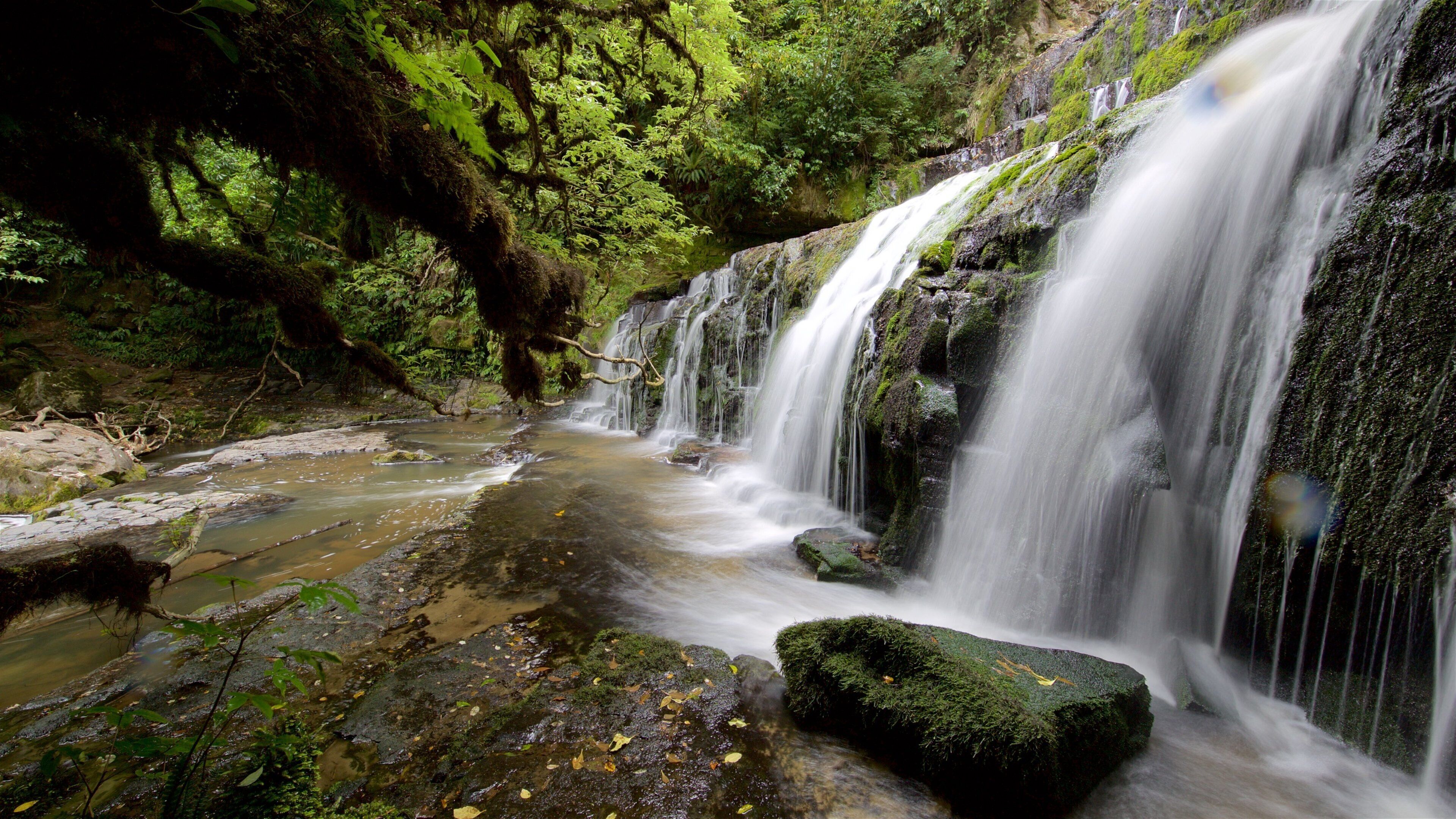 Purakaunui Falls showing forests and a waterfall