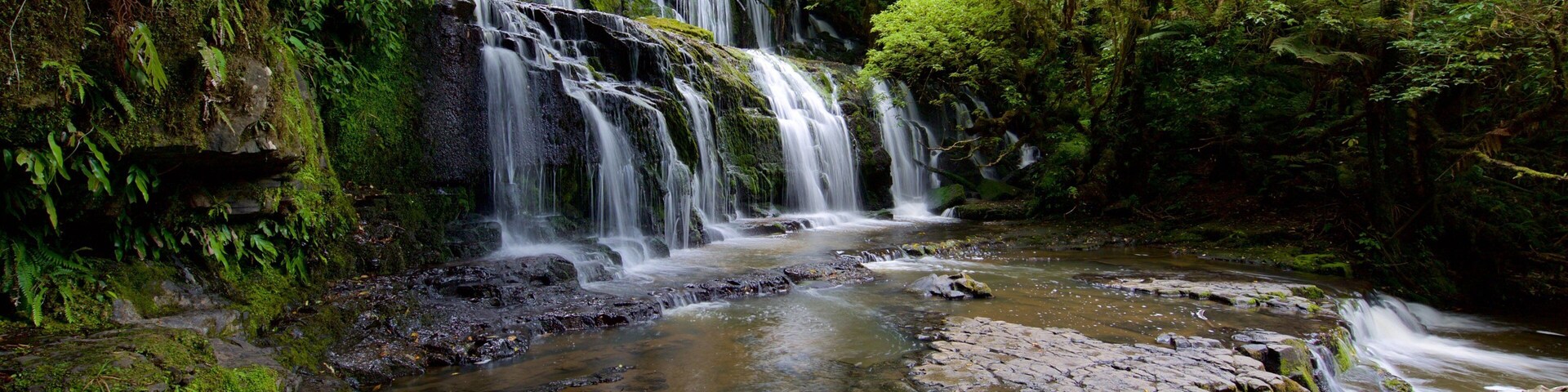 Purakaunui Falls mit einem Kaskade und Waldmotive