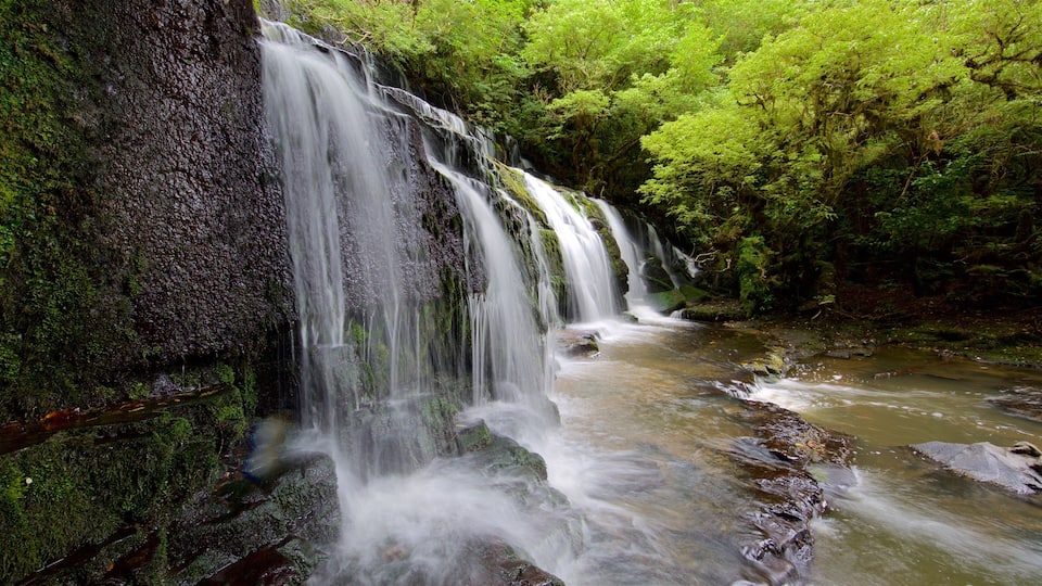 A waterfall cascading over moss-covered rocks into a river surrounded by dense green foliage.