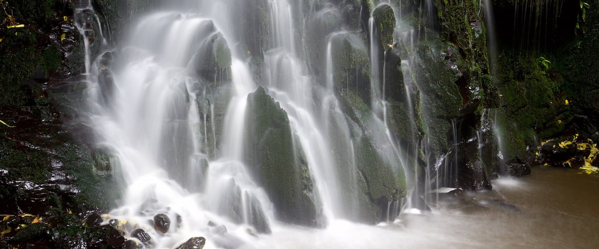 Matai Falls som viser et vandfald og skovområder