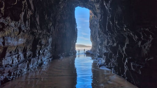 Cathedral Cave, Catlins Coast, New Zealand