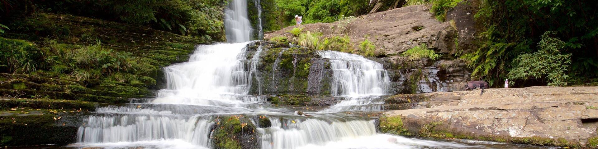 McLean Falls which includes a cascade, a river or creek and forests