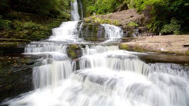 McLean Falls showing a waterfall, a river or creek and forest scenes