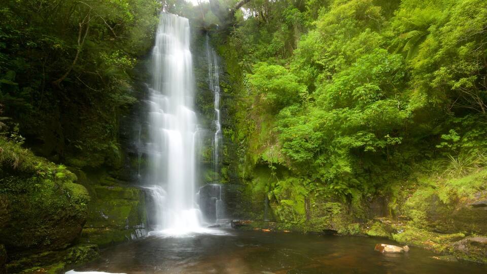 A waterfall surrounded by lush green forest.