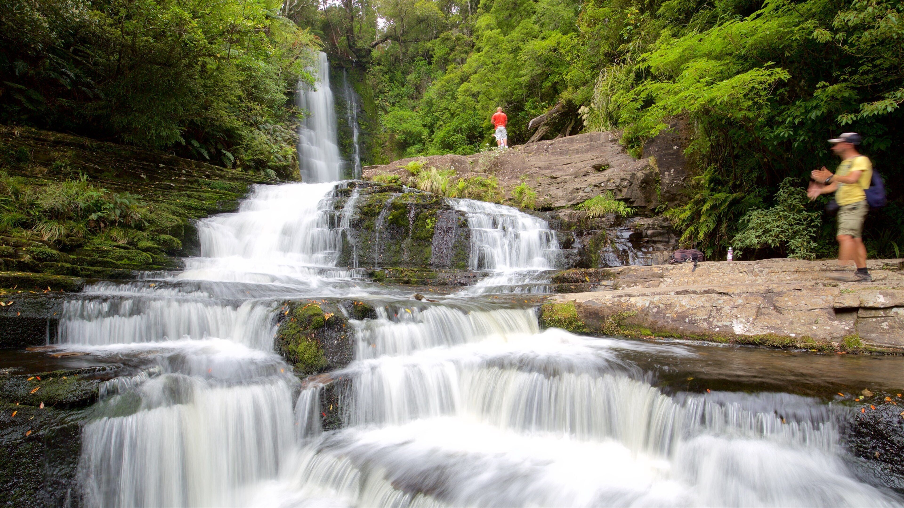 McLean Falls showing a cascade and forests