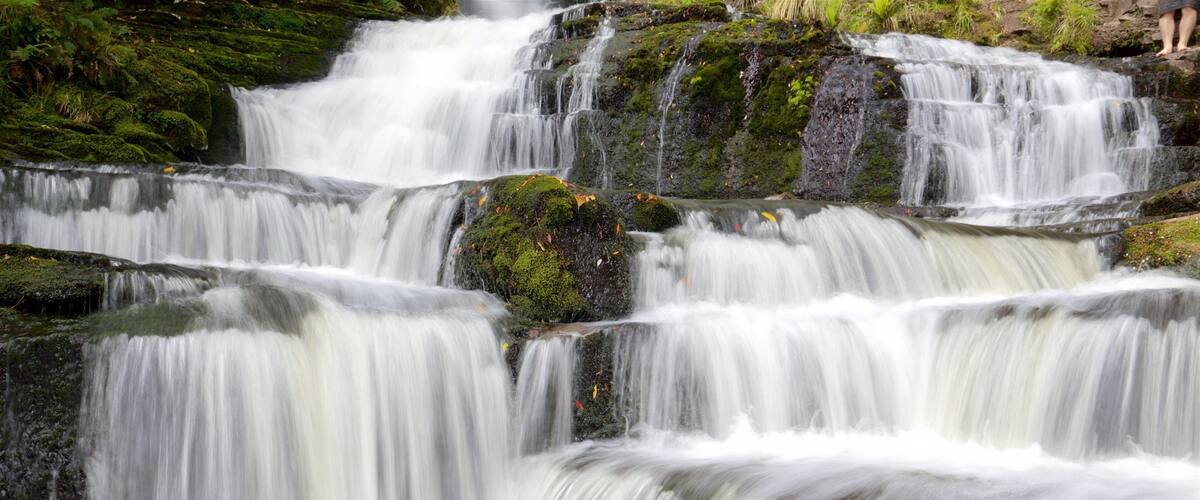 McLean Falls showing a waterfall