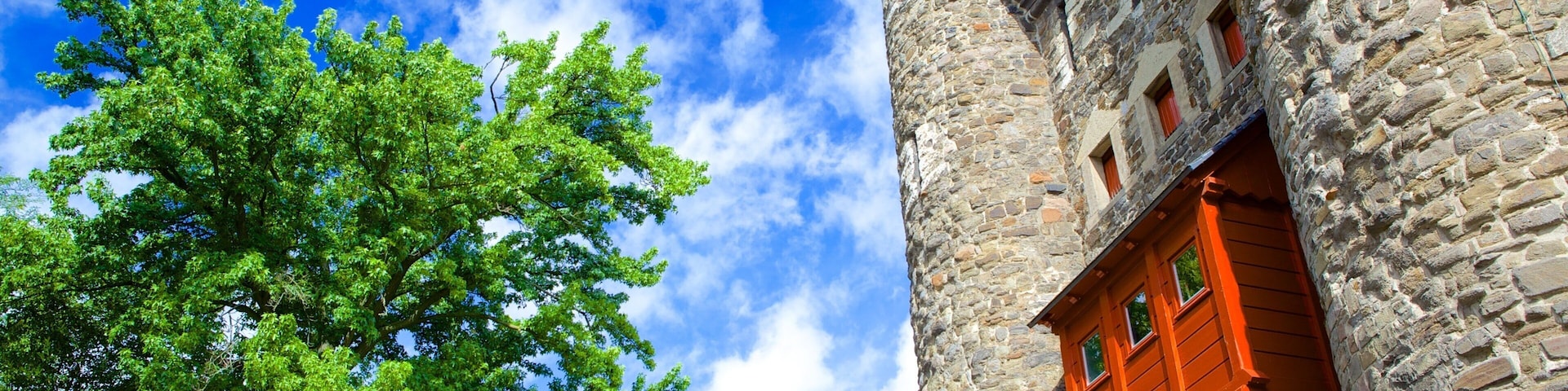 Helpoort showing chateau or palace and heritage elements