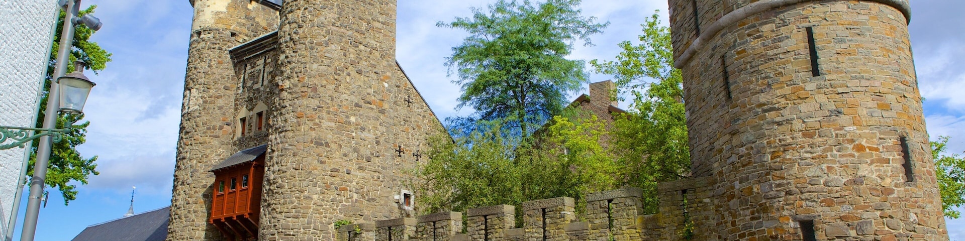 Helpoort showing street scenes, heritage elements and chateau or palace