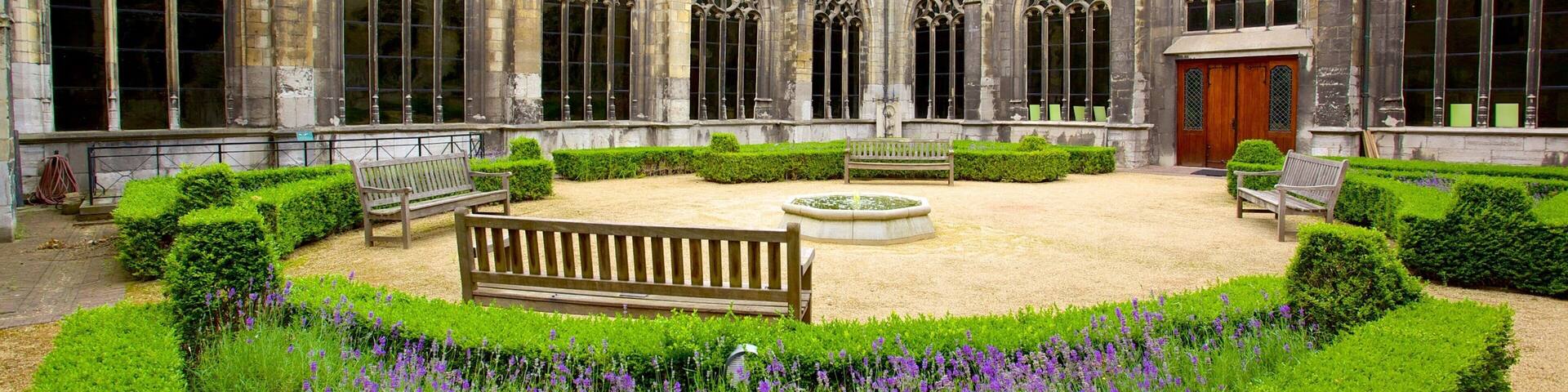 Basilica of Our Lady featuring a garden, a church or cathedral and heritage elements