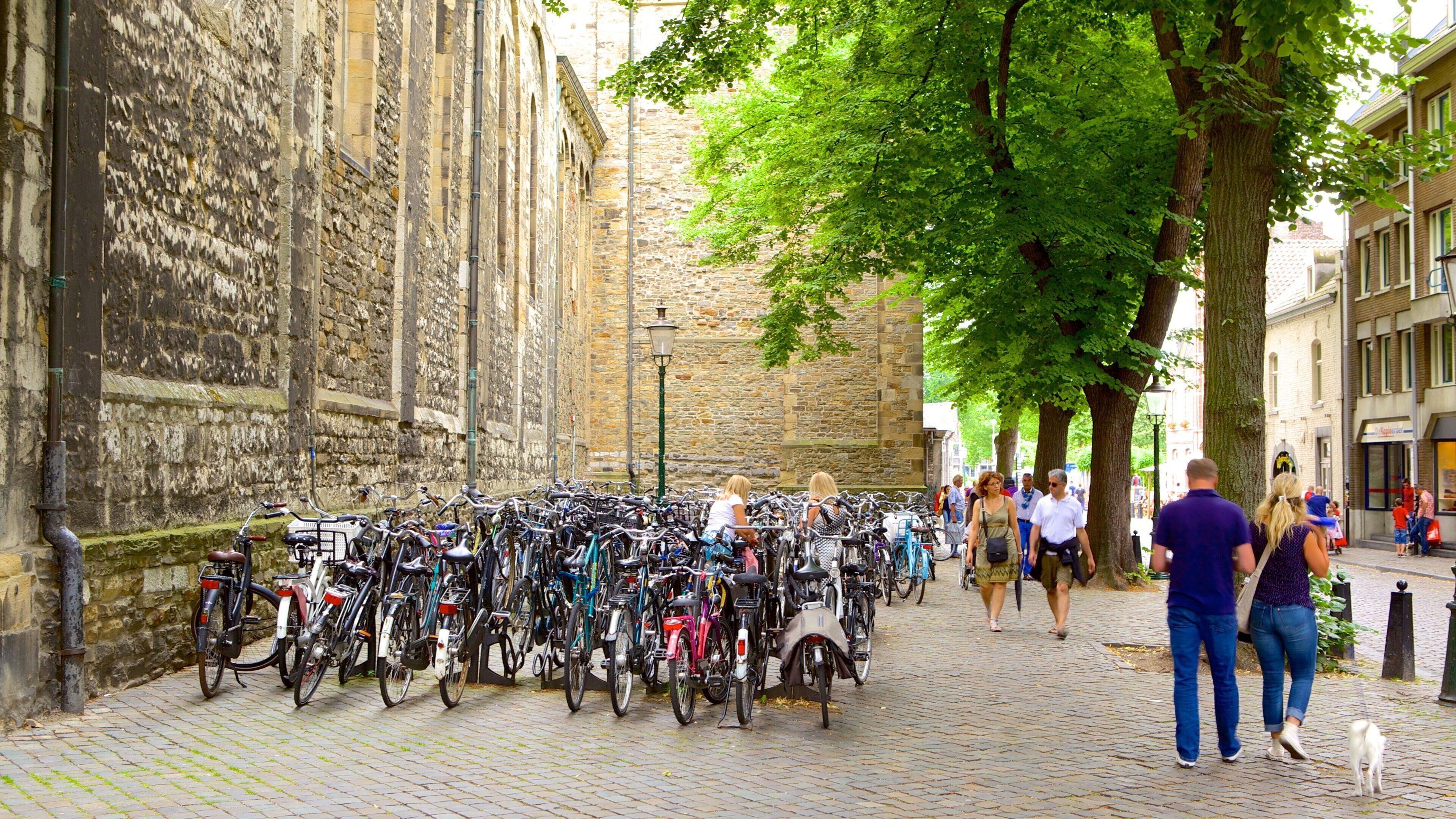 Basilica of Our Lady which includes street scenes and cycling as well as a large group of people