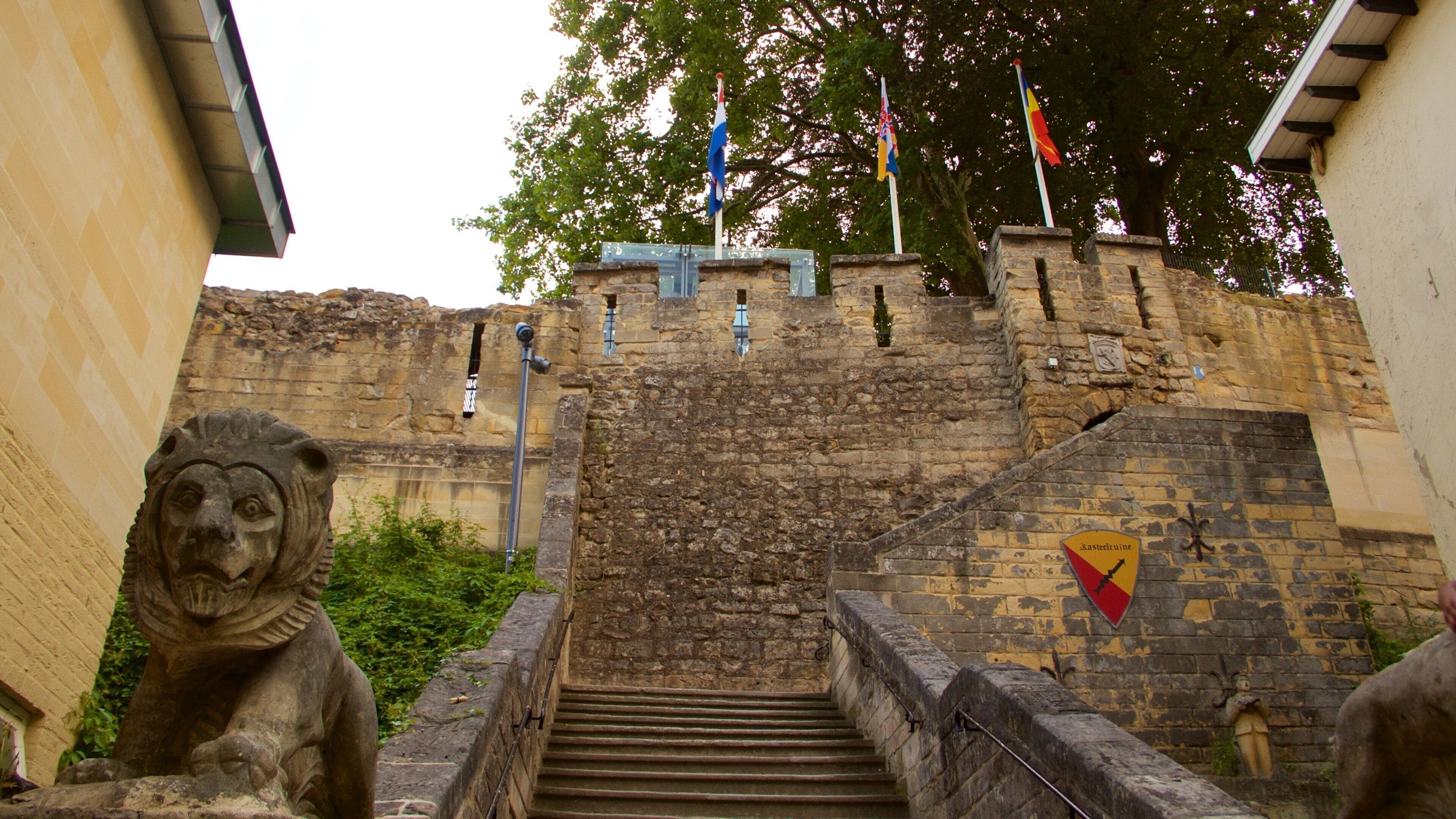 Valkenburg Castle featuring heritage elements, a ruin and a castle