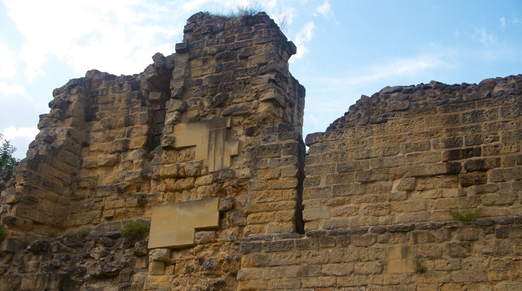 Valkenburg Castle which includes heritage elements, a castle and building ruins