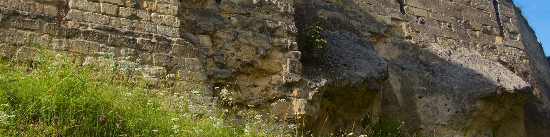 Valkenburg Castle which includes chateau or palace, a ruin and heritage elements