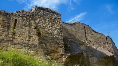 Castelo de Valkenburg que inclui uma ruína, um pequeno castelo ou palácio e elementos de patrimônio