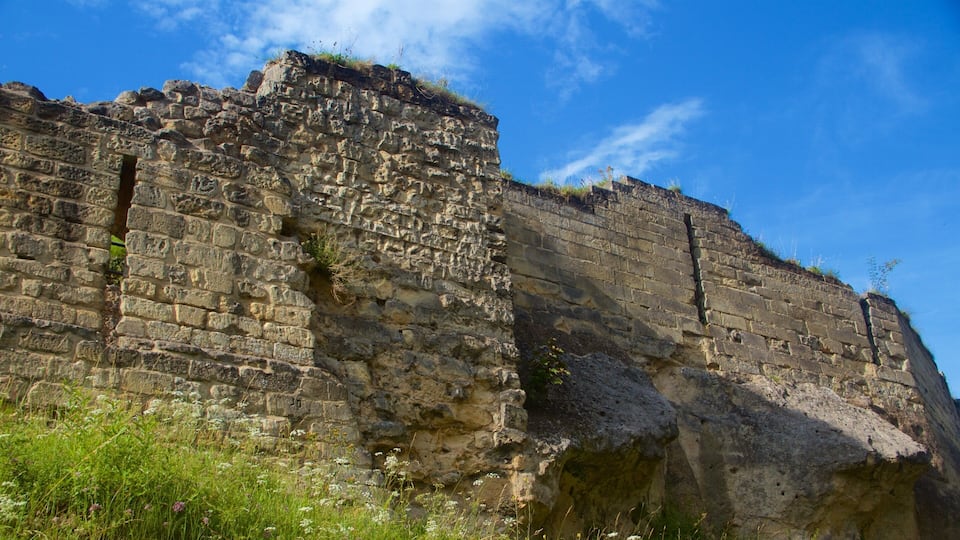 A stone wall with inscriptions and vegetation growing on it.