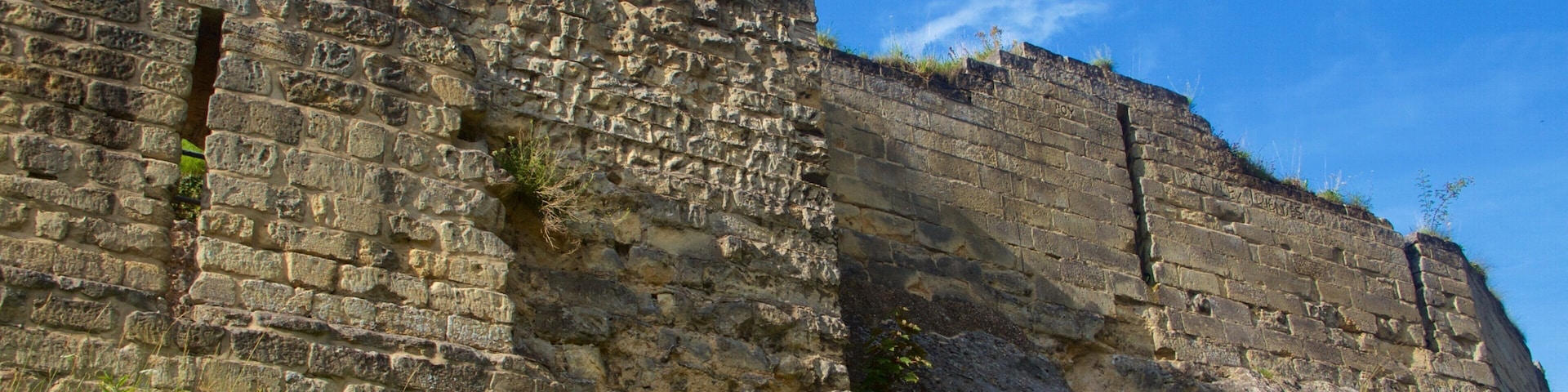 Valkenburg Castle which includes chateau or palace, a ruin and heritage elements