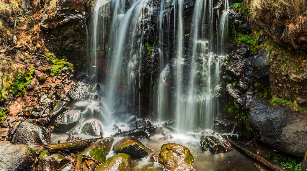 Cascada de Apatlaco, Puebla, México. Is a natural space located in the Iztaccíhuatl-Popocatépetl National Park.