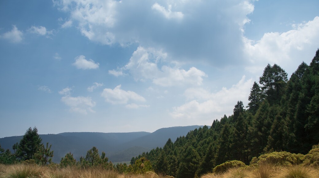 La Marquesa National Park, with the official name "Parque Nacional Insurgente Miguel Hidalgo y Costilla" is a National park in the State of Mexico, in central Mexico.