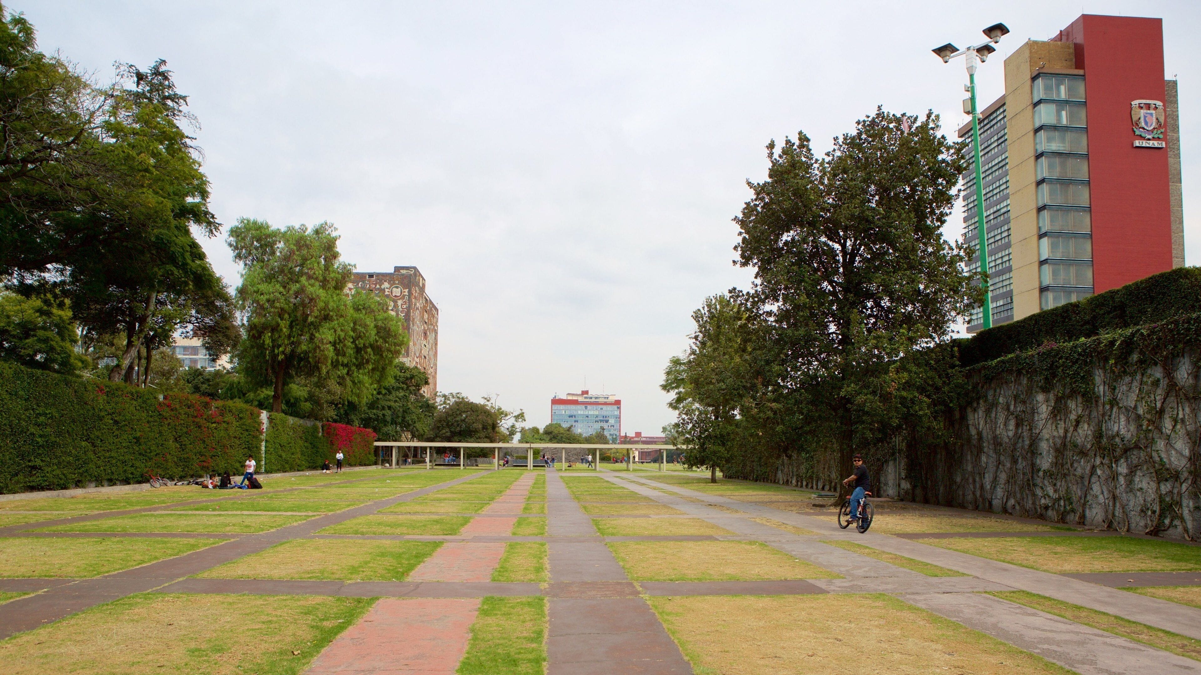 National Autonomous University of Mexico which includes a park