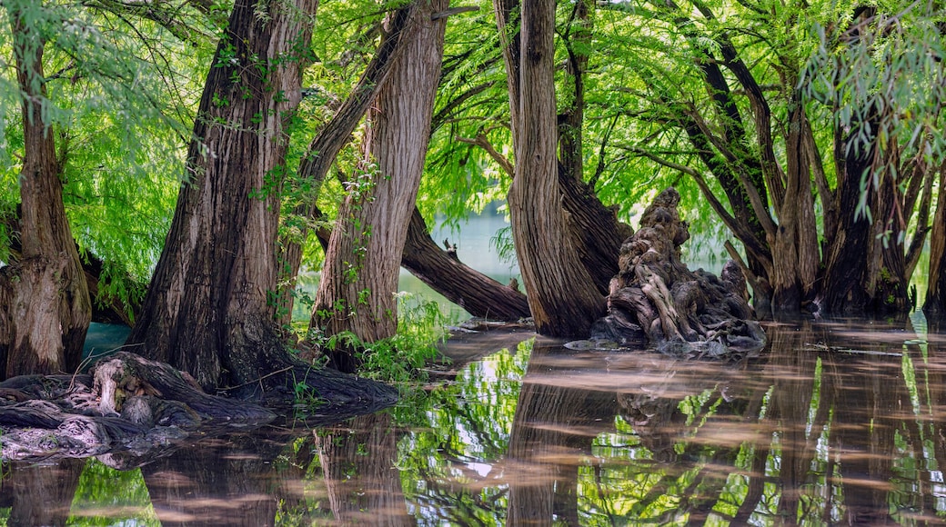 Taman Nasional Lago de Camecuaro