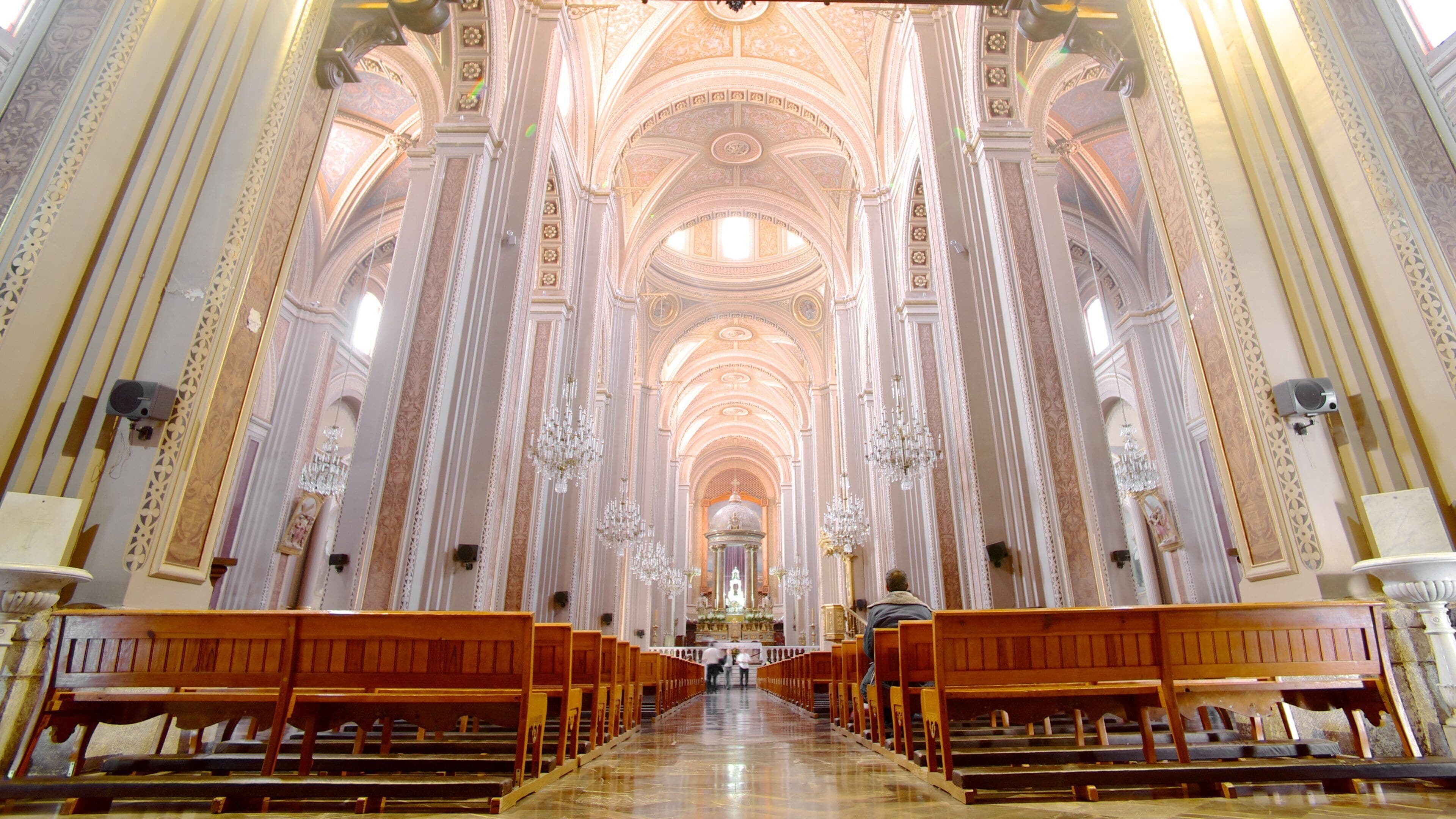 Morelia Cathedral showing a church or cathedral, interior views and religious aspects