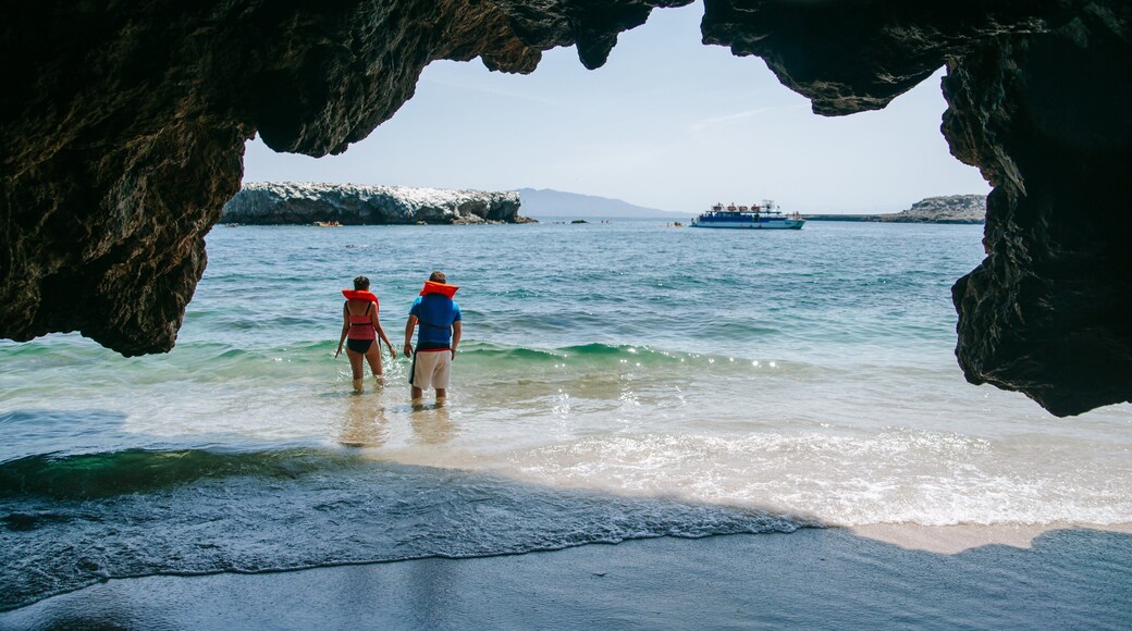 Marietas Islands showing general coastal views and swimming as well as a couple