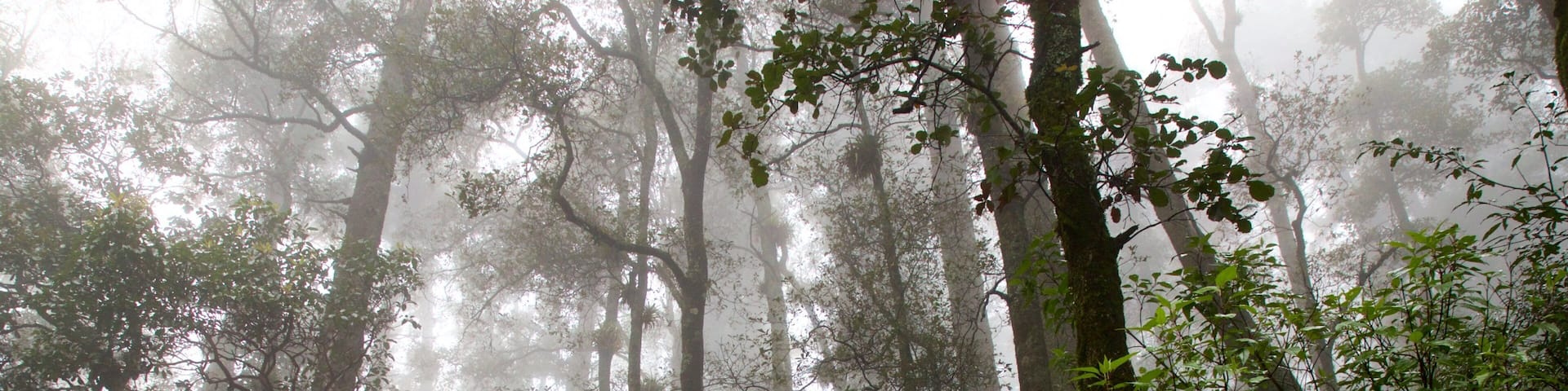 Parque Nacional Mineral del Chico