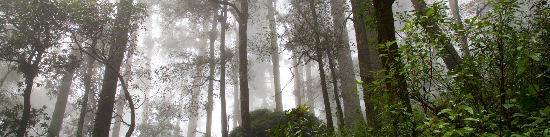 Mineral del Chico National Park