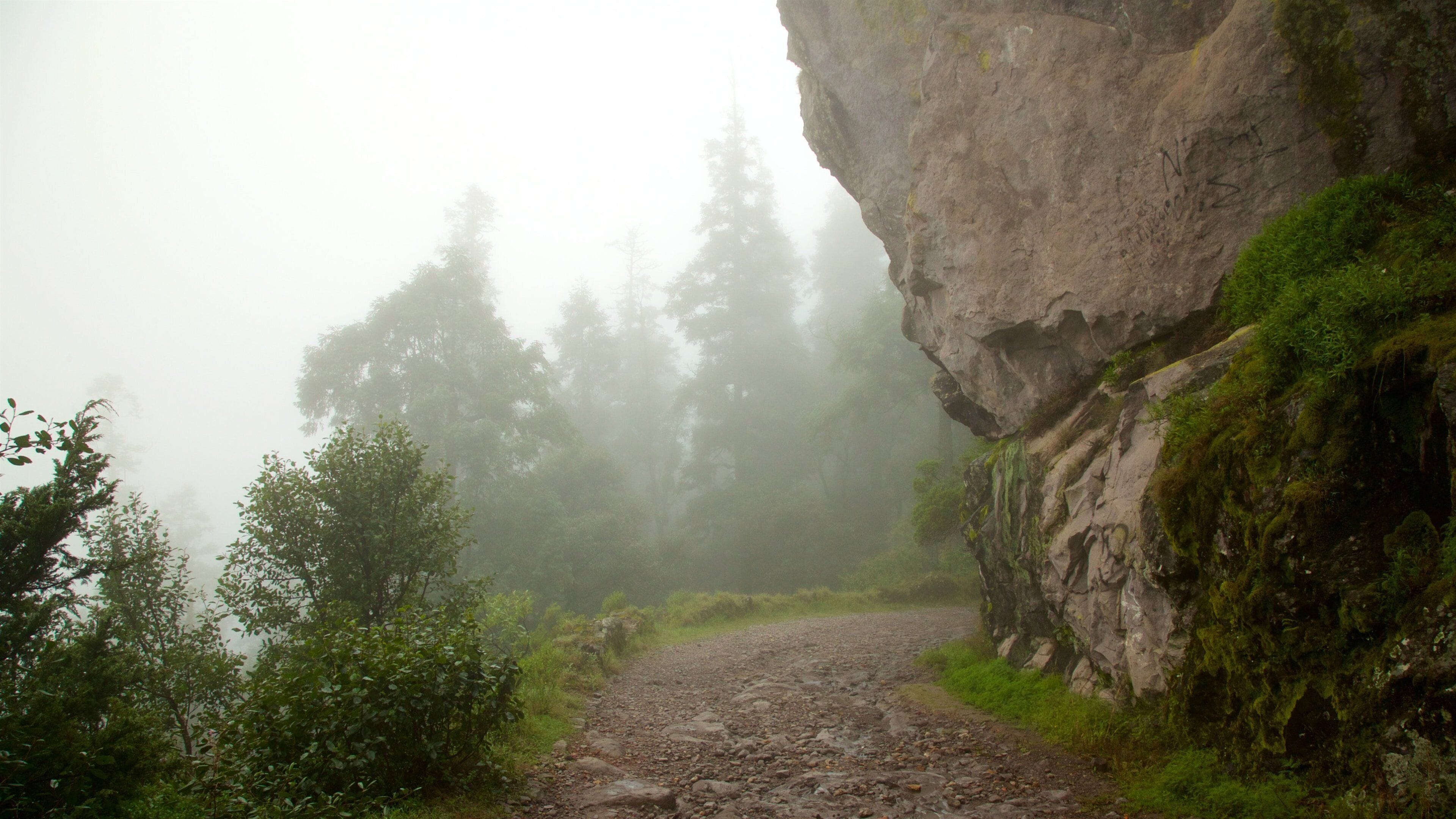 미네랄 델 치코 국립공원