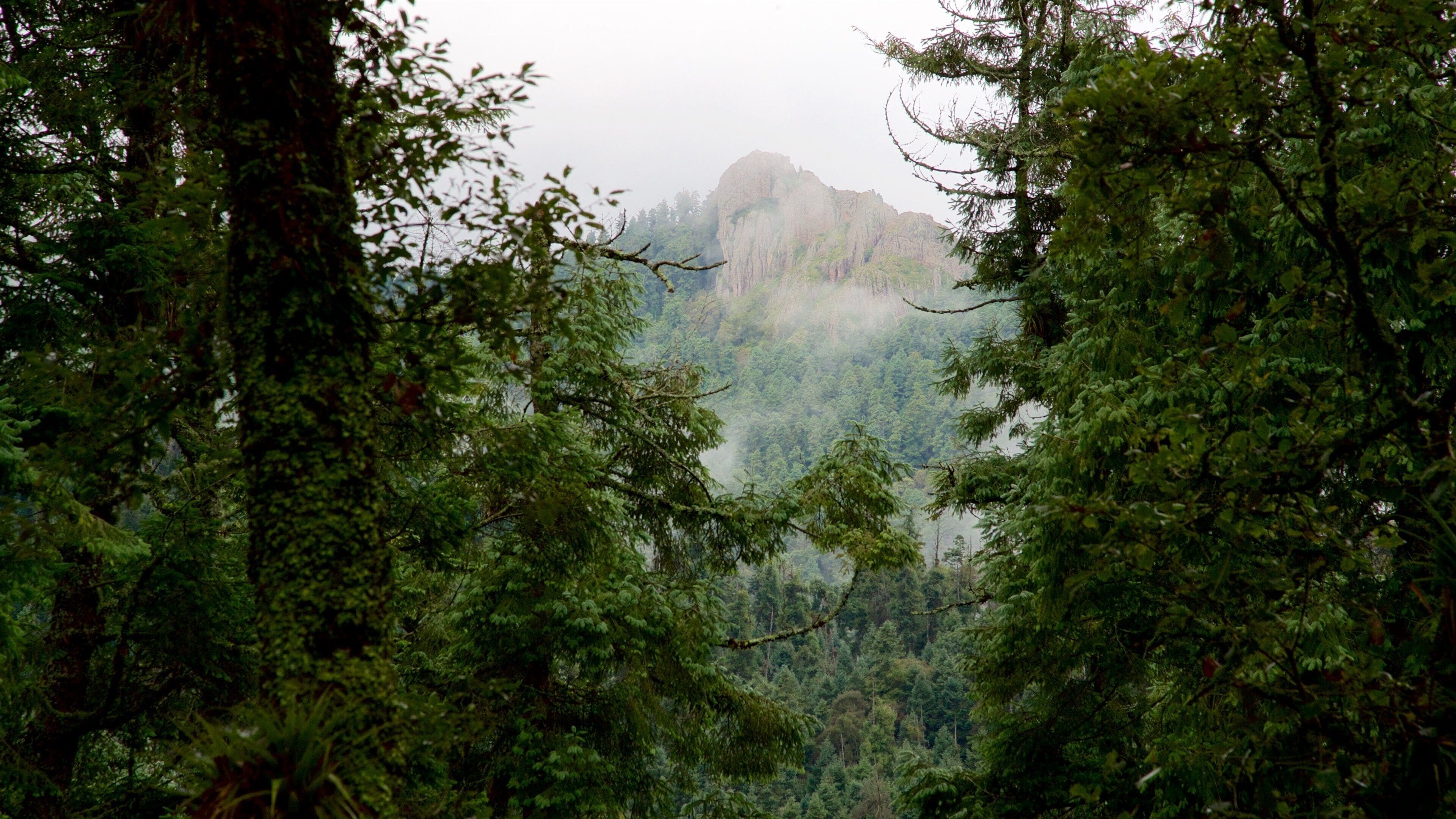 Mineral del Chico National Park