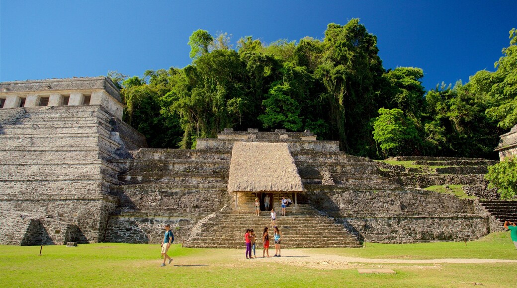 帕倫克的古城和國家公園 设有 歷史建築 以及 一小群人
