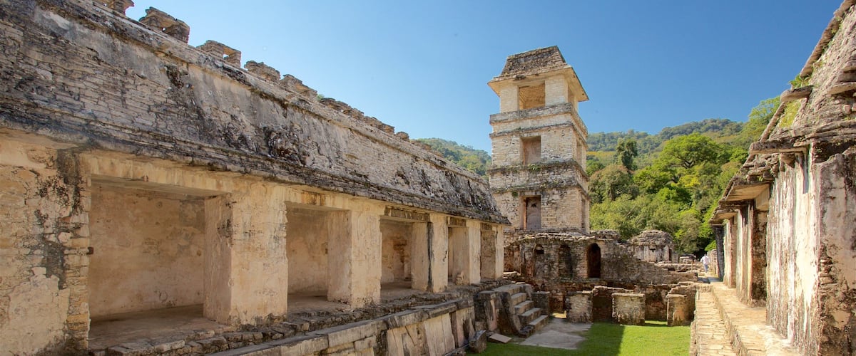 Pre-Hispanic City and National Park of Palenque featuring heritage elements
