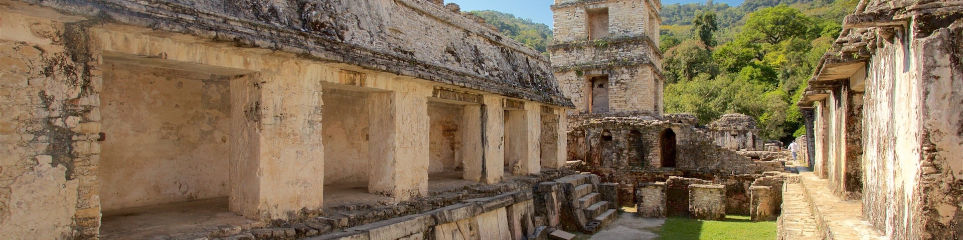 Pre-Hispanic City and National Park of Palenque showing heritage elements