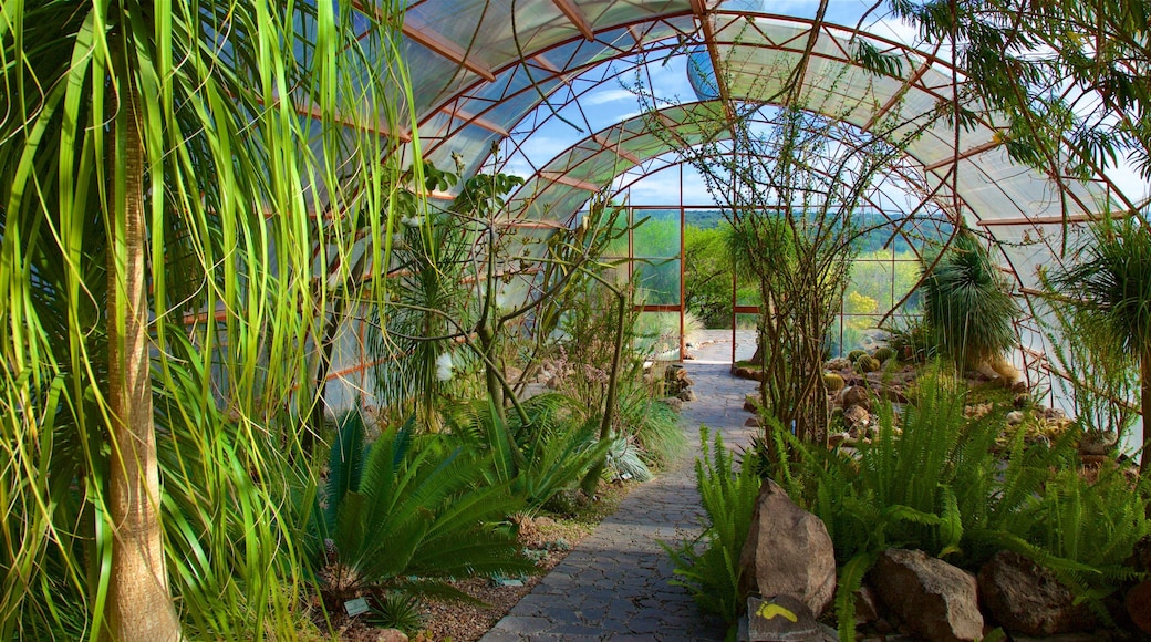 El Charco del Ingenio