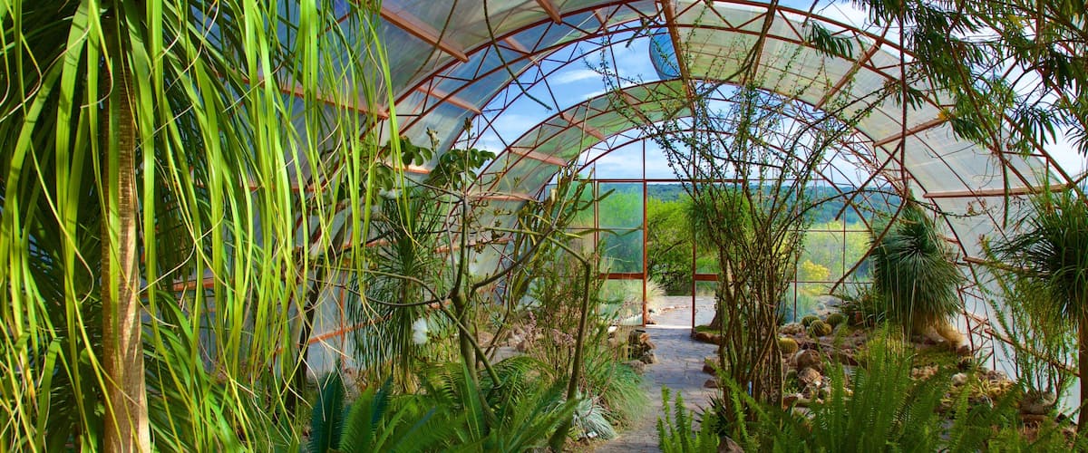 El Charco del Ingenio che include parco e vista interna