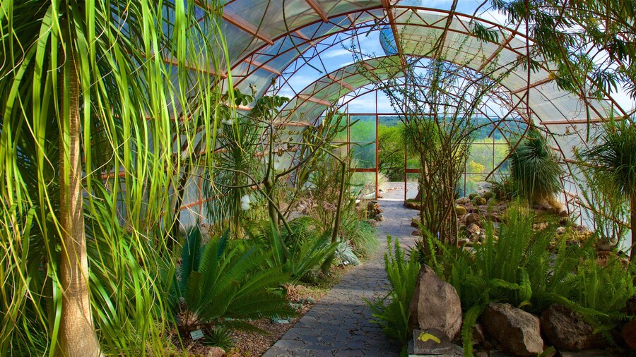 El Charco del Ingenio