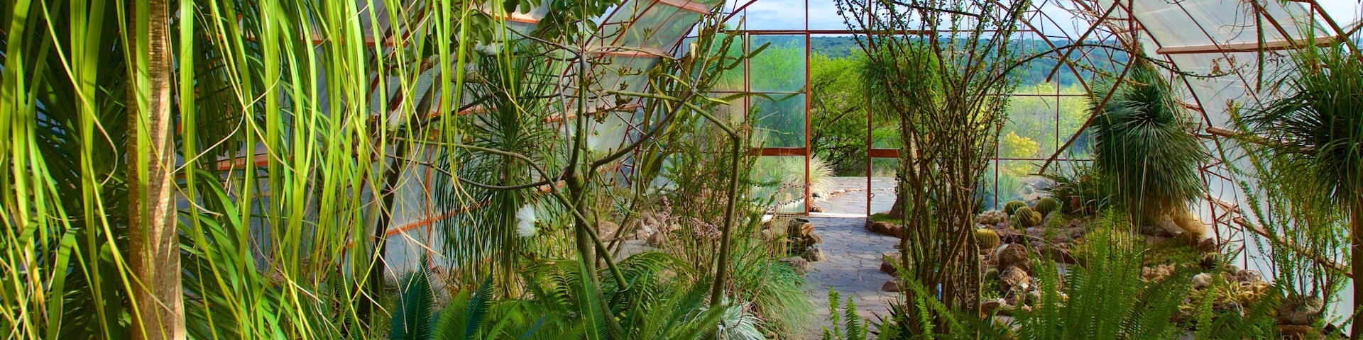 El Charco del Ingenio mostrando um parque e vistas internas