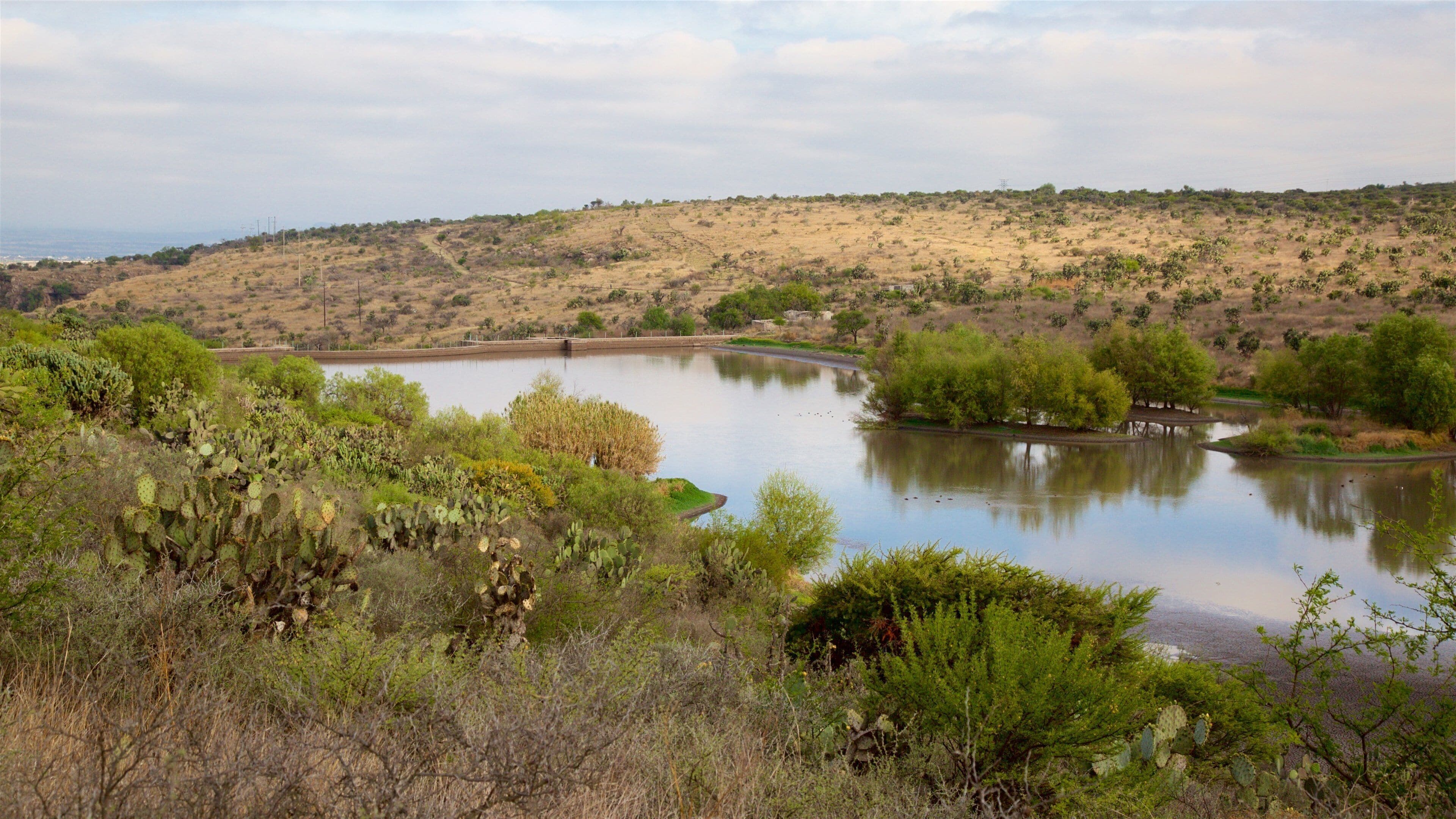 Kebun Raya El Charco del Ingenio