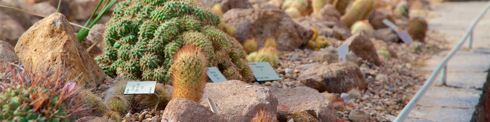 El Charco del Ingenio