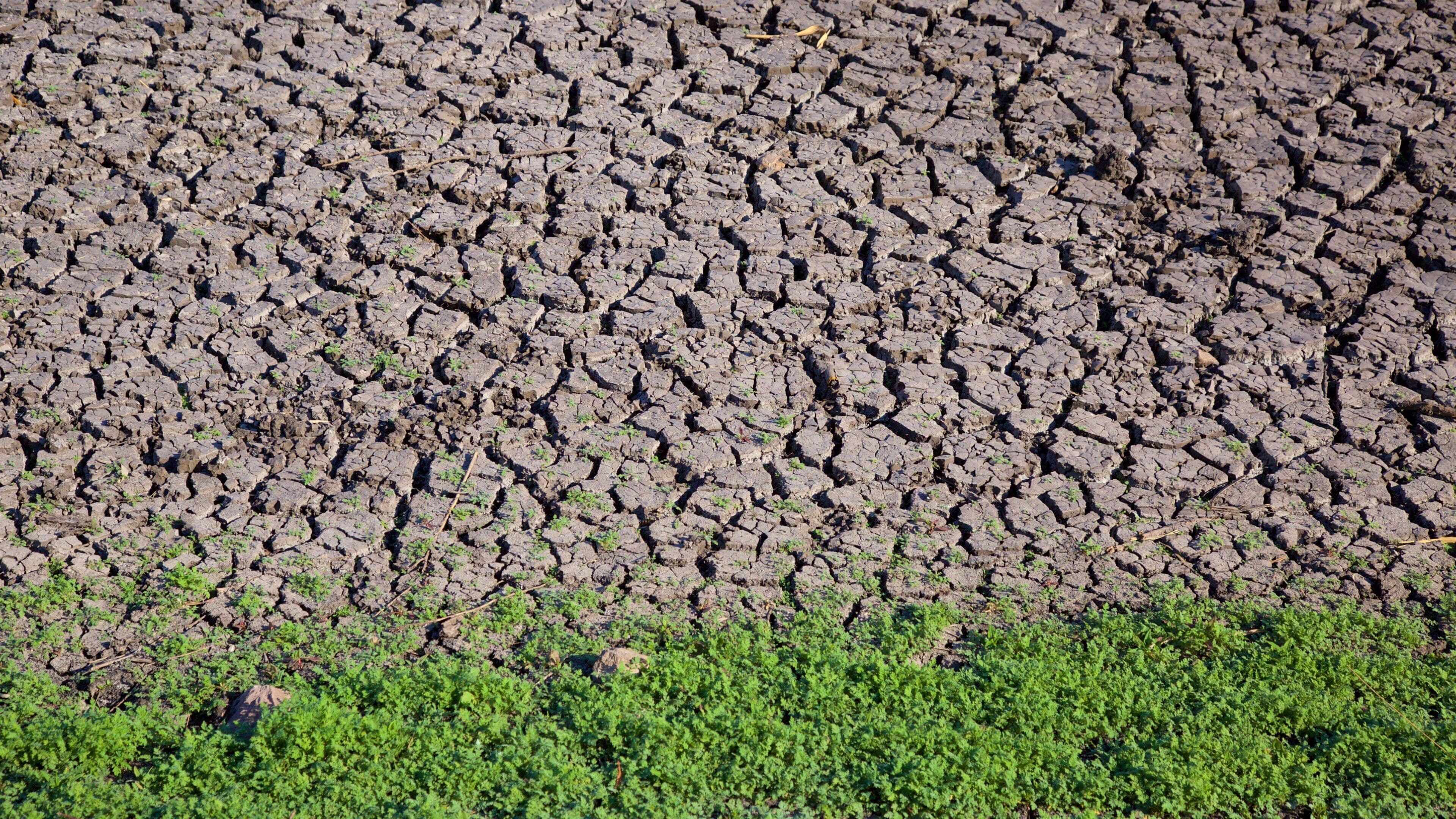 El Charco del Ingenio