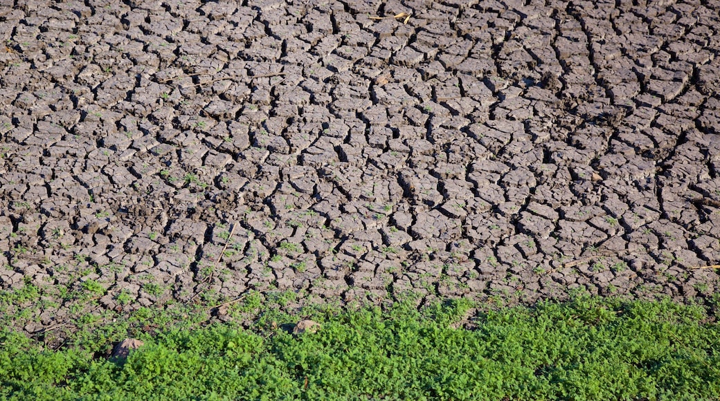 El Charco del Ingenio