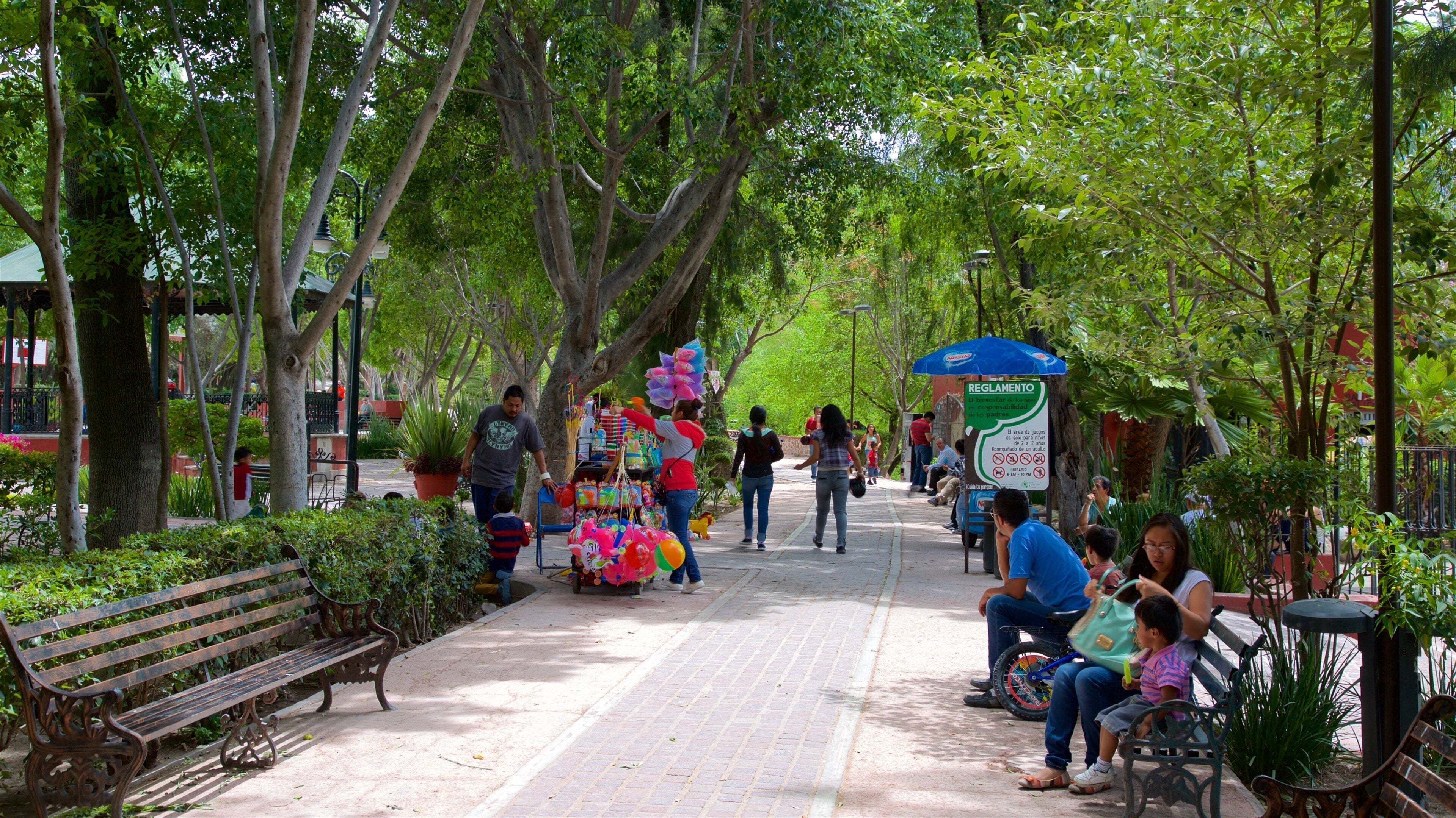 Juarez Park which includes a garden as well as a small group of people
