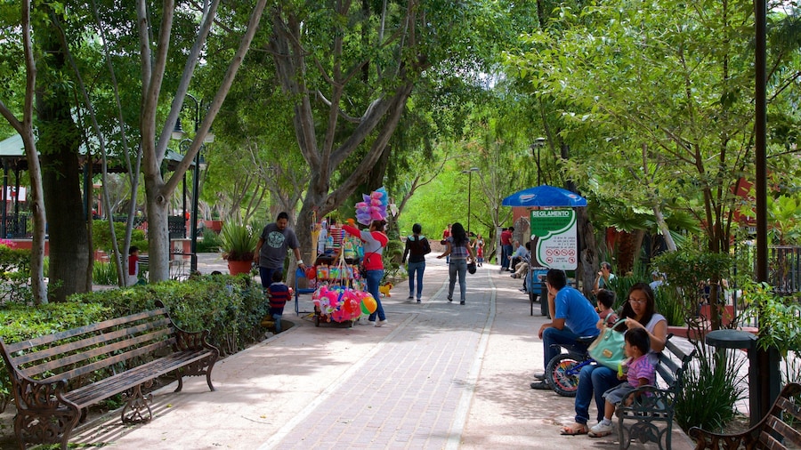 Juarez Park showing a garden as well as a small group of people