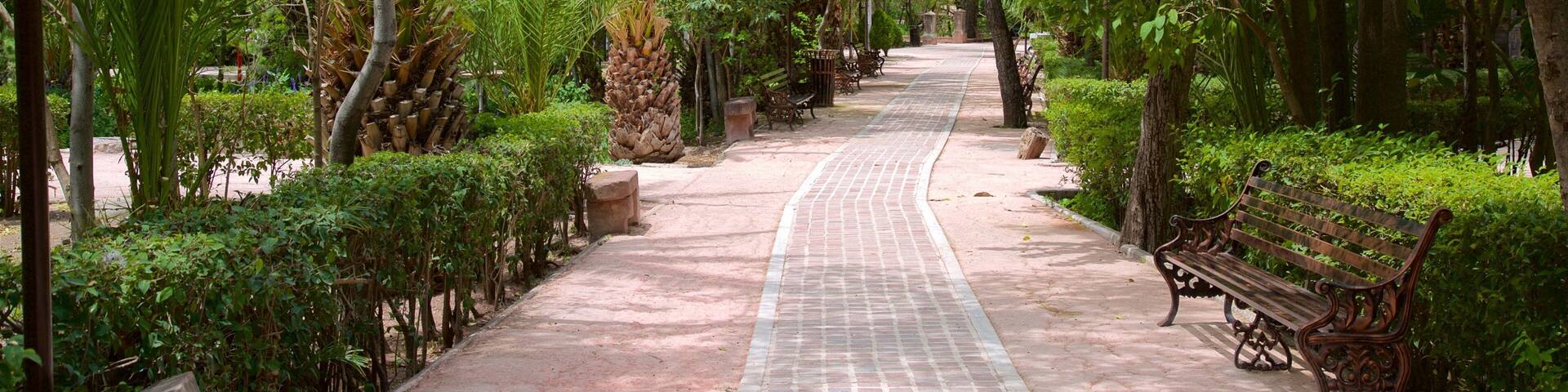 Juarez Park featuring a garden