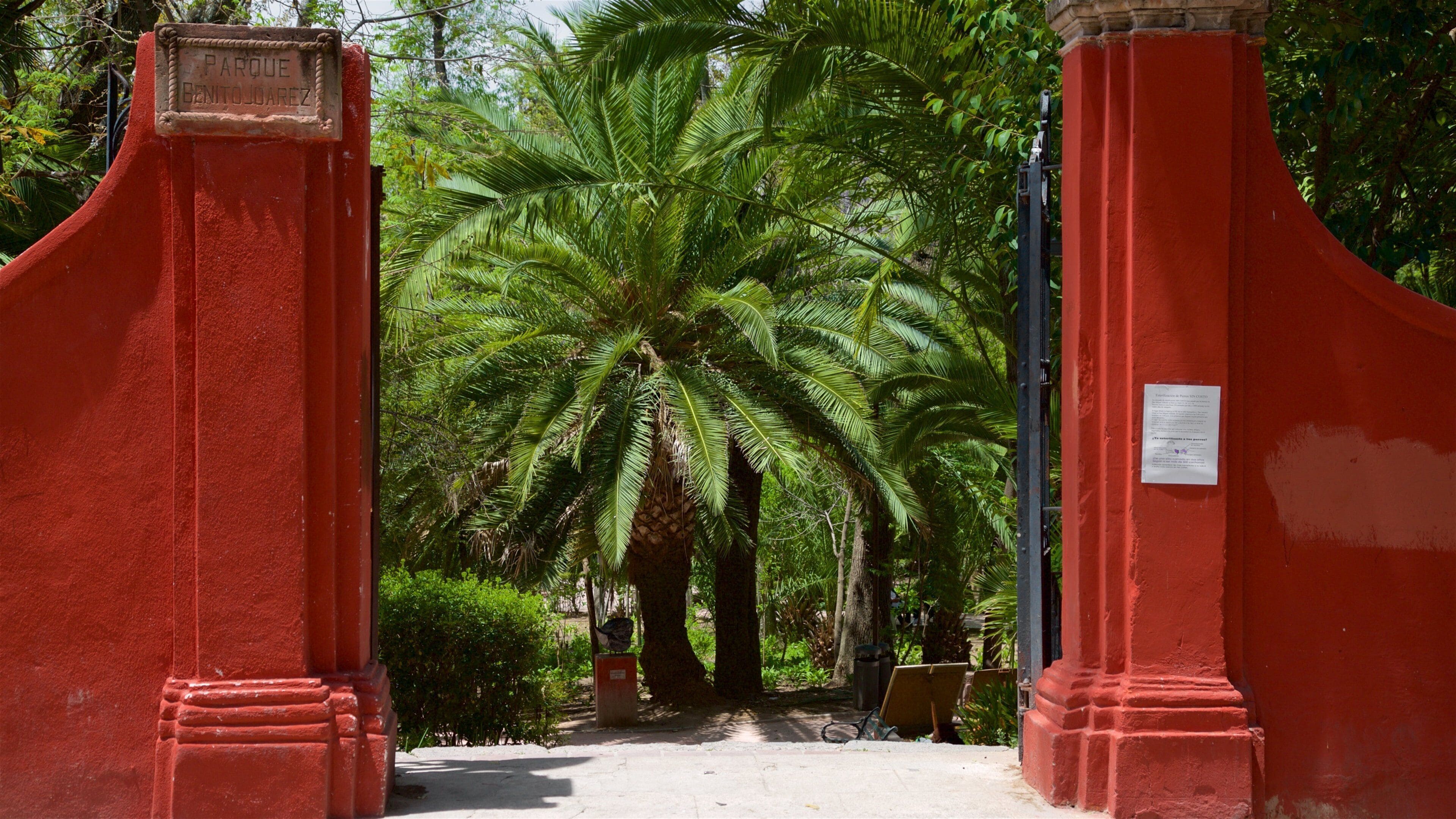 Juarez Park showing a garden