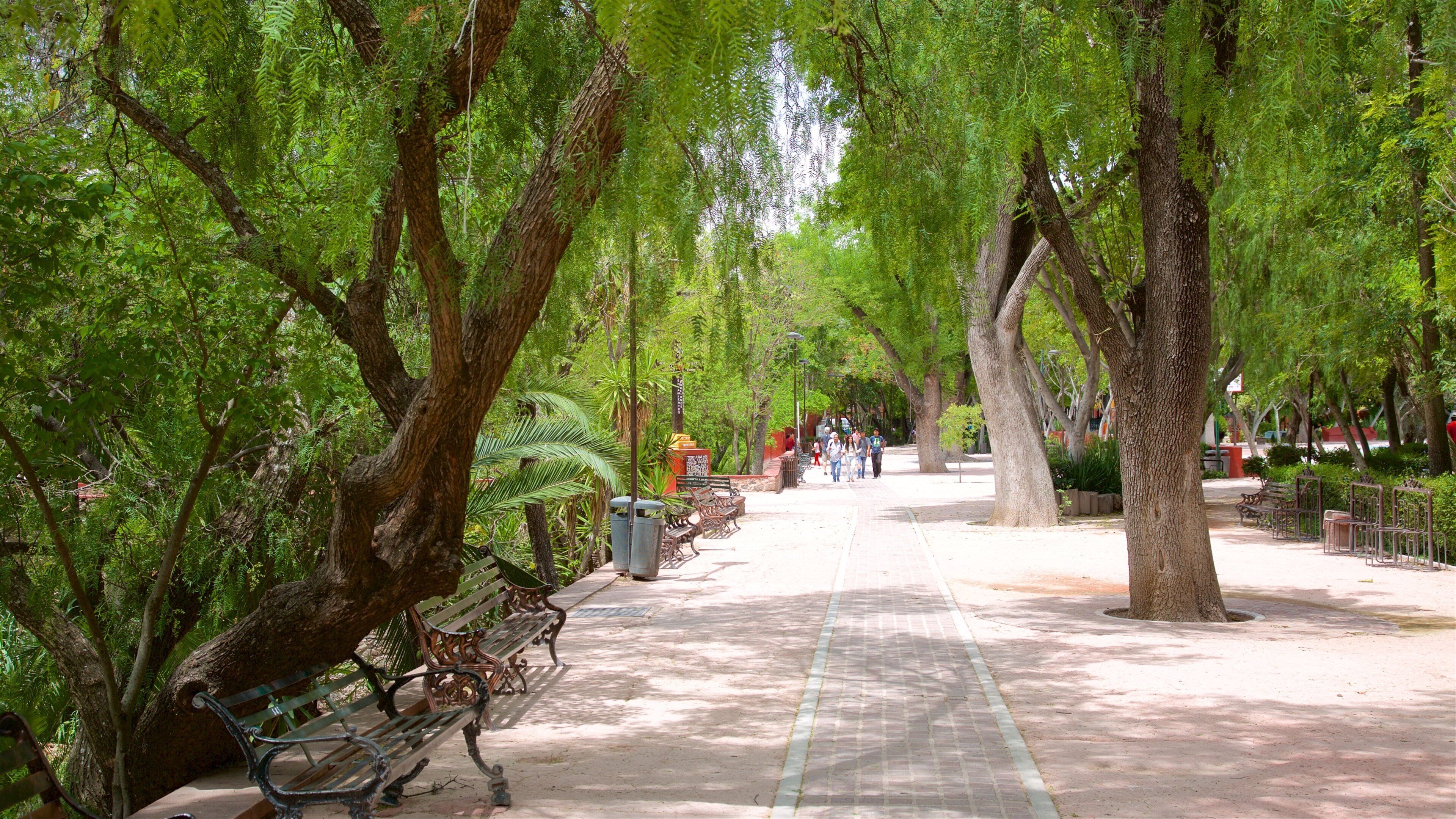 Juarez Park featuring a garden
