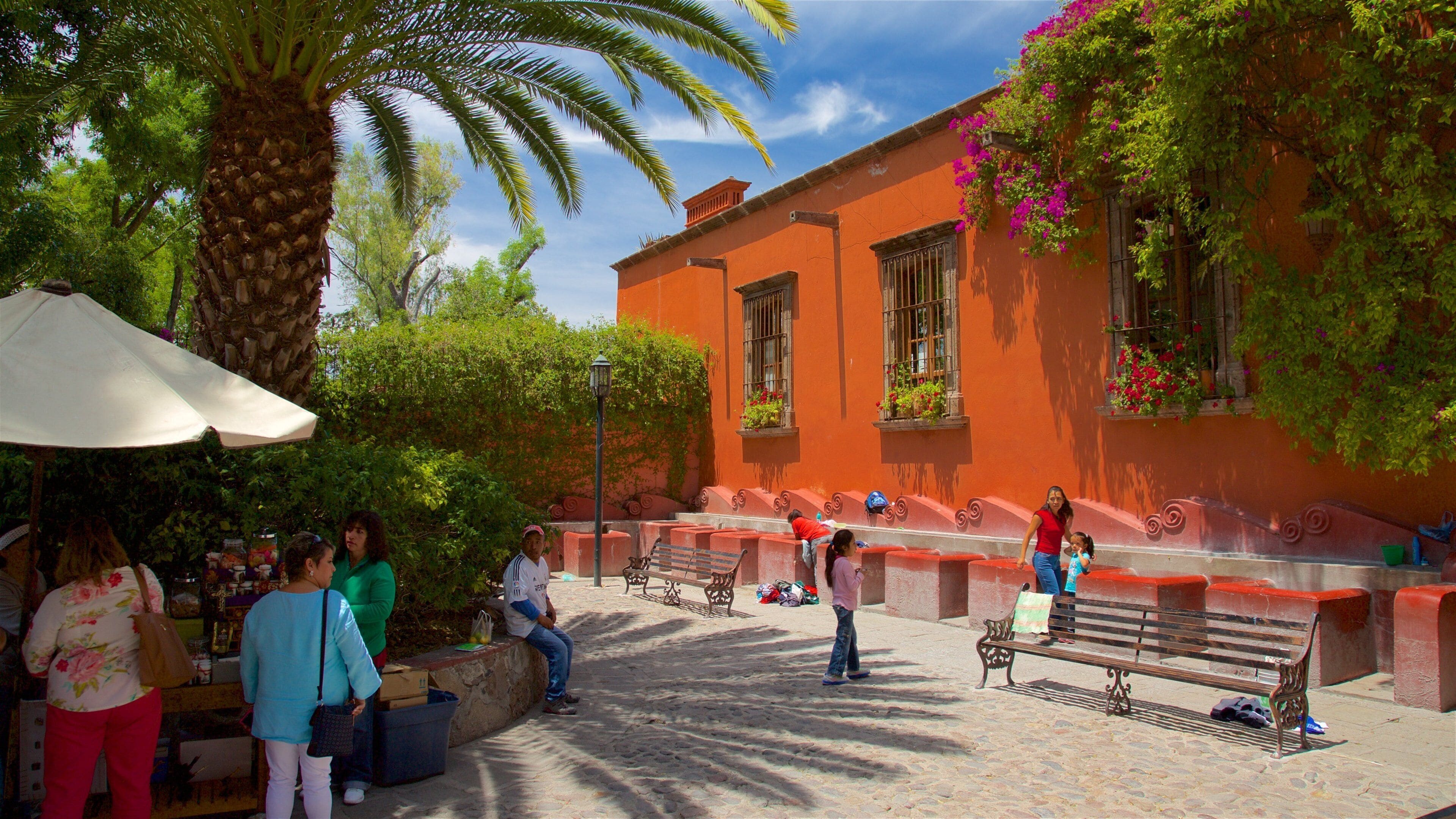 Juarez 公園 以及 一小群人